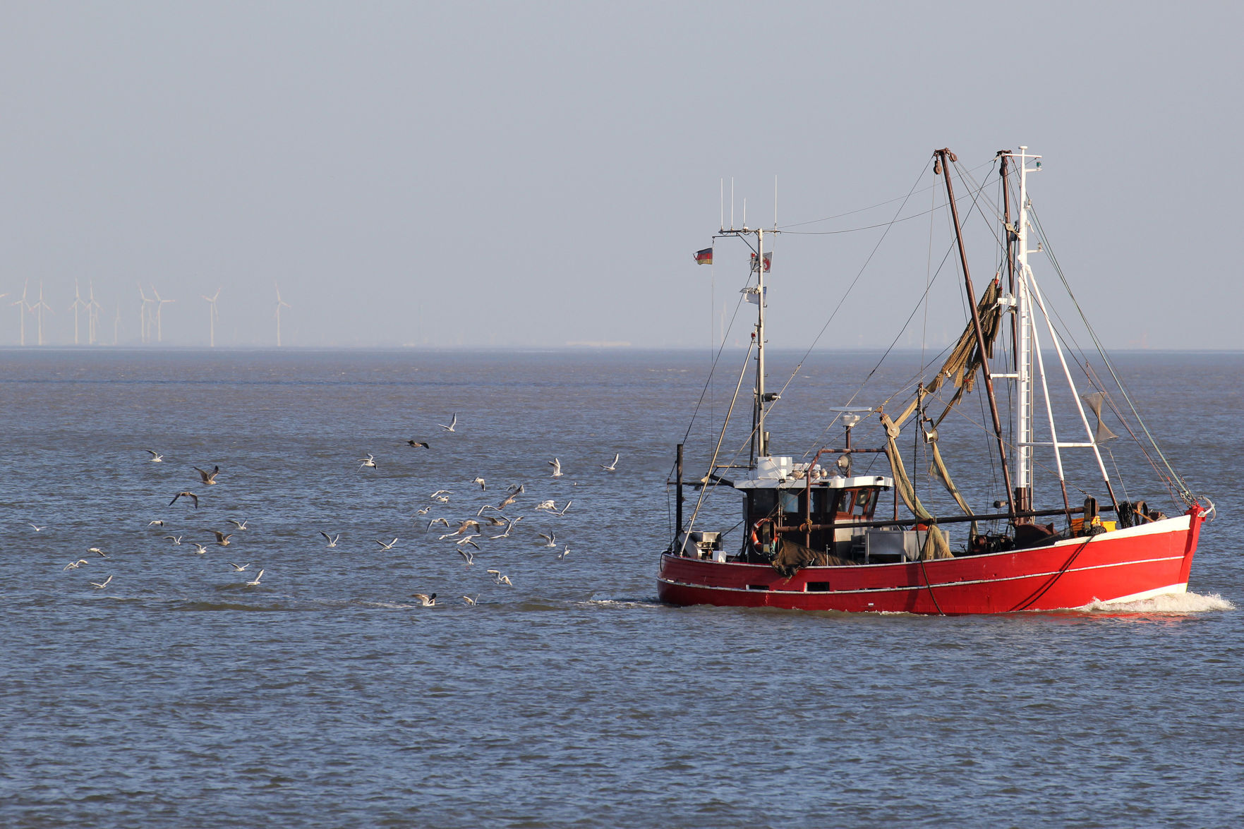 Overfishing
